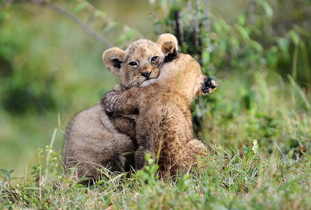 hugging mom